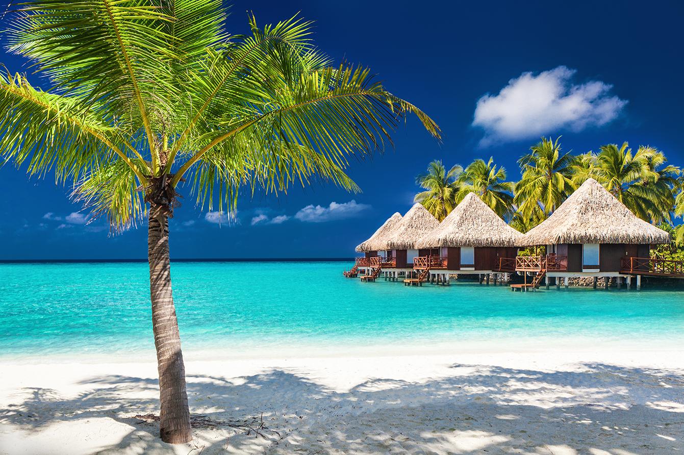 Luxury Vacation Packages & Deals with Airfare 2024